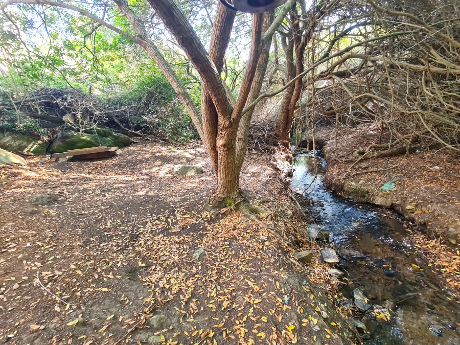 4 Bedroom Property for Sale in Noorsekloof Eastern Cape